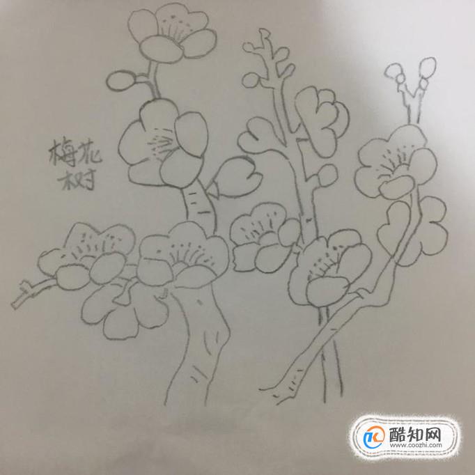 梅花树怎么画？