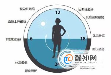 一天正常的作息时间表