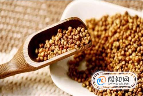 苦荞茶的功效与作用及食用方法