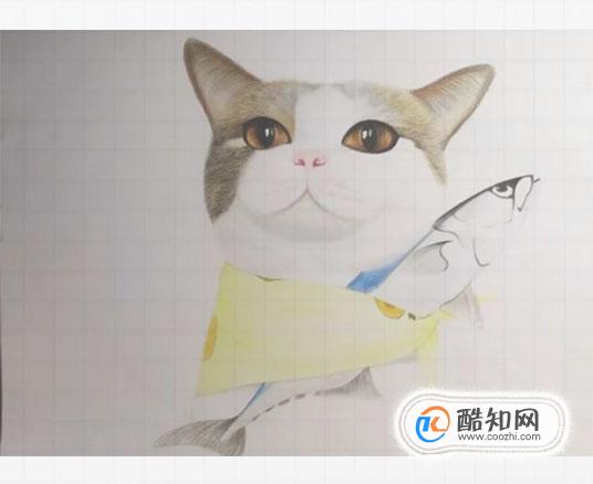 可爱的猫咪用格子本怎么画