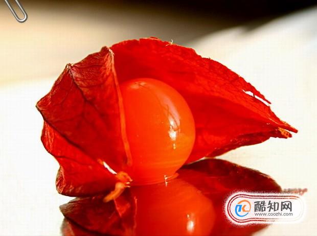 红姑娘的功效与作用