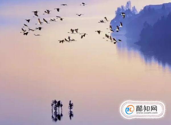 十一月最适合旅行的地方