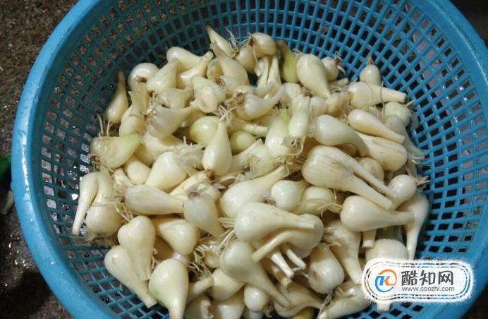 糖醋荞头的腌制方法