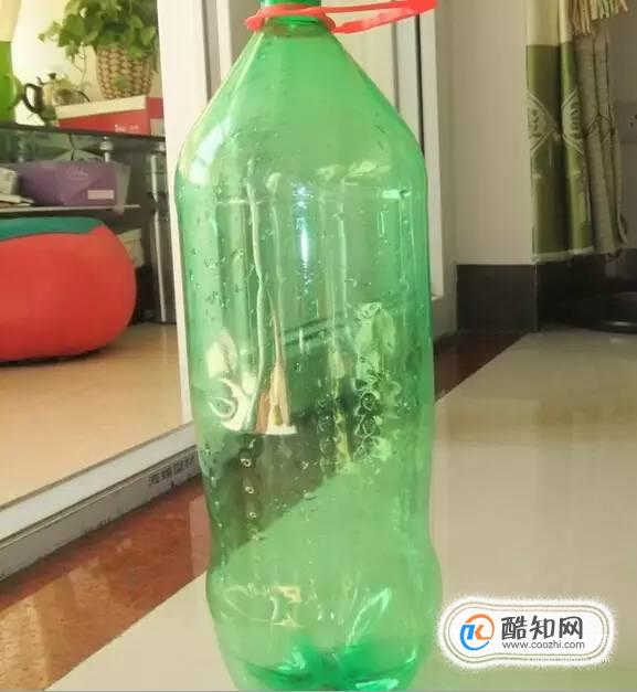废旧塑料瓶做花瓶、笔筒