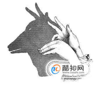 手把手教你怎样做手影
