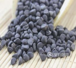 牵牛子的治病功效及食疗方