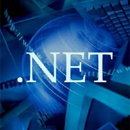 net是什么机构组织的域名？