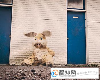 朱姓女孩子起名字大全