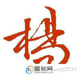 杨姓的来源