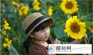 岑姓女孩名字大全