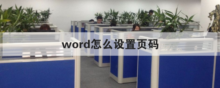 word怎么设置页码