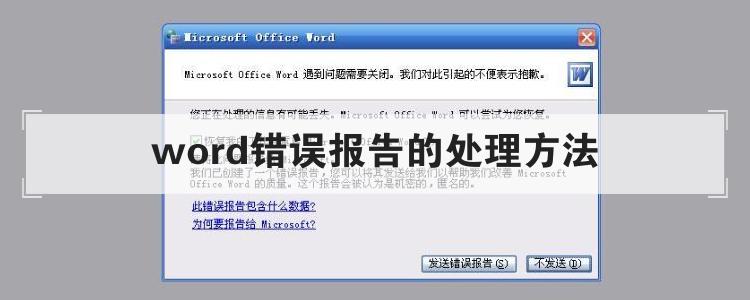 word错误报告的处理方法