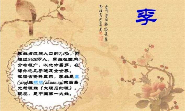 李姓人口数量2020年