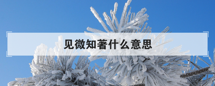 見微知著,出自《韓非子·說林上》,形容見到事情的苗頭,就能知道它的