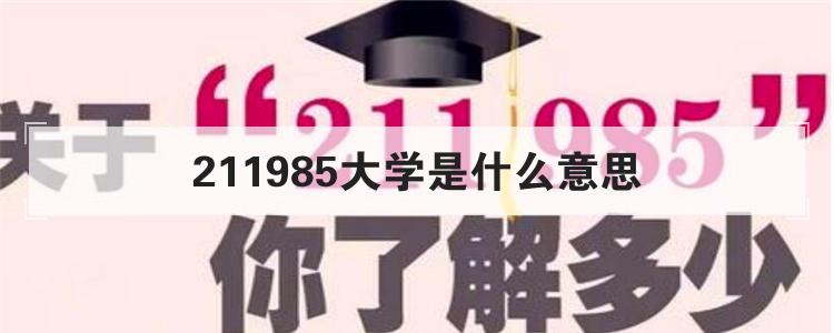 211985大学是什么意思