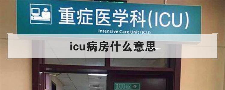 icu病房什么意思