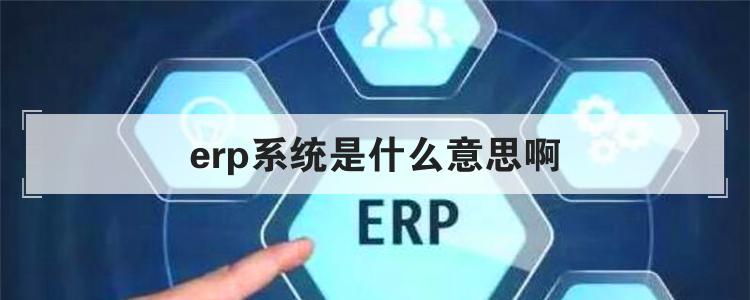 erp系统是什么意思啊