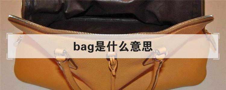 bag是什么意思