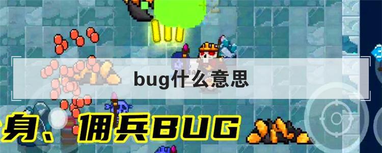 bug什么意思