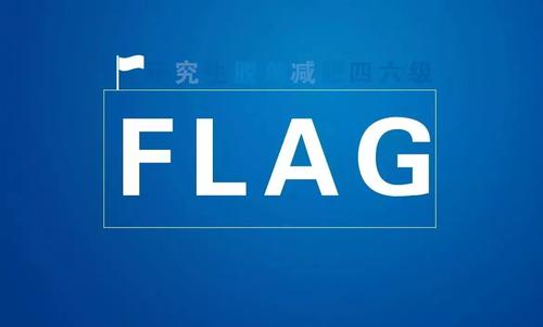 flag是什么意思中文