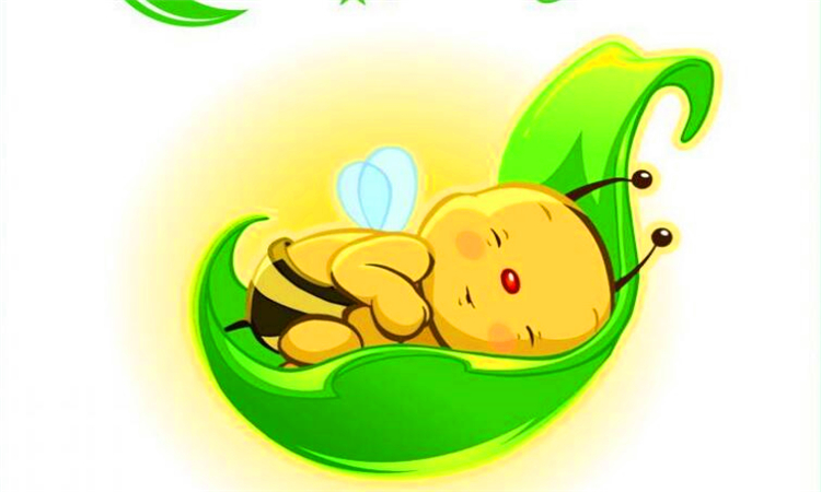 sleep什么意思英语