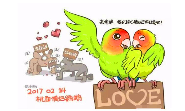 撒狗粮是什么意思