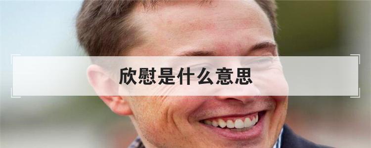 欣慰是什么意思