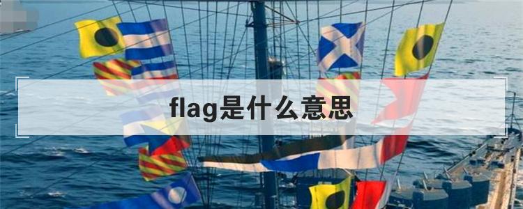 flag是什么意思