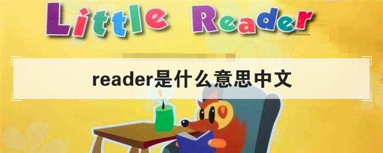 reader是什么意思中文