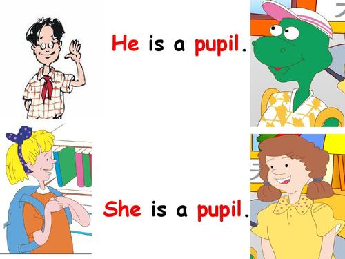 pupils是什么意思中文图片
