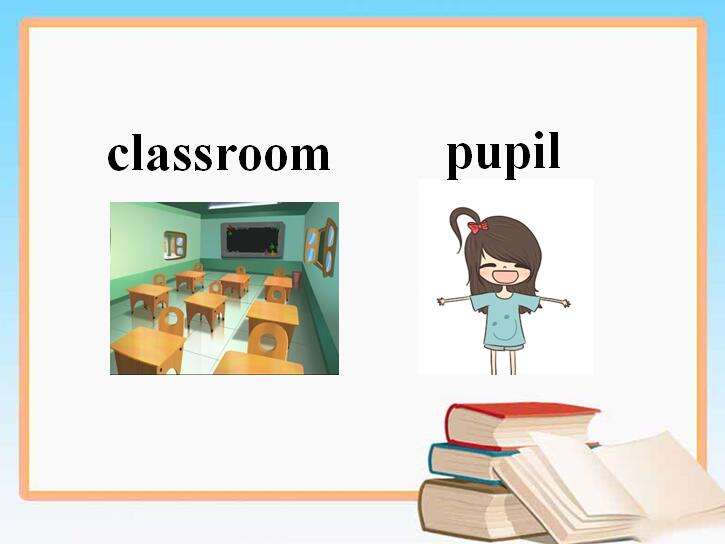 pupils是什么意思中文图片