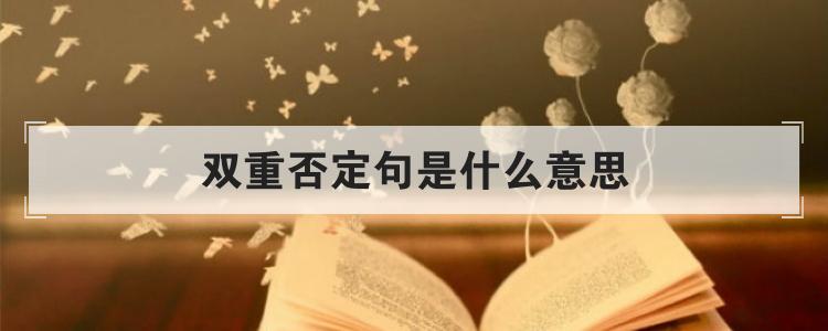 双重否定句是什么意思