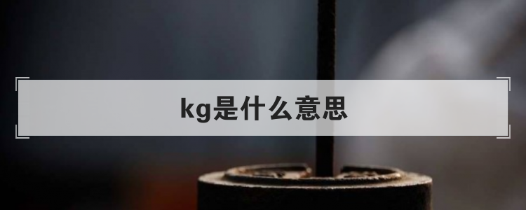 kg是什么意思