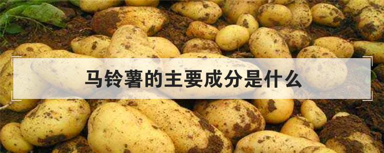 马铃薯的主要成分是什么