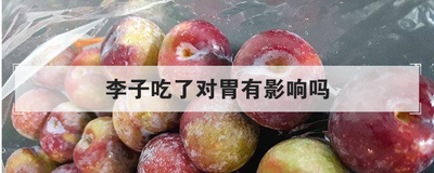 李子吃了对胃有影响吗
