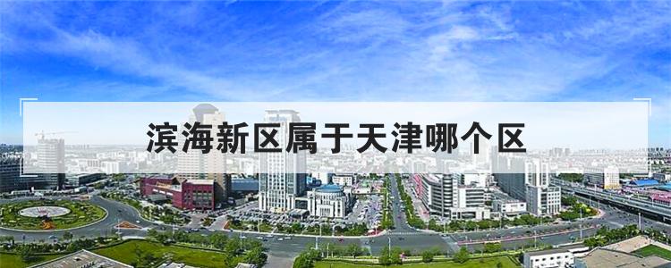 滨海新区属于天津哪个区