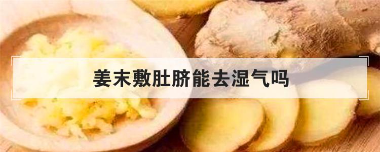 姜末敷肚脐能去湿气吗