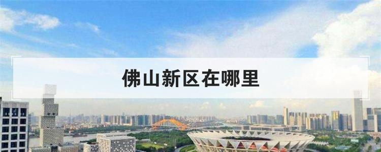 佛山新区在哪里