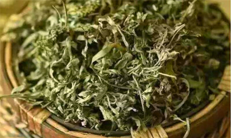 艾草可以洗脸吗