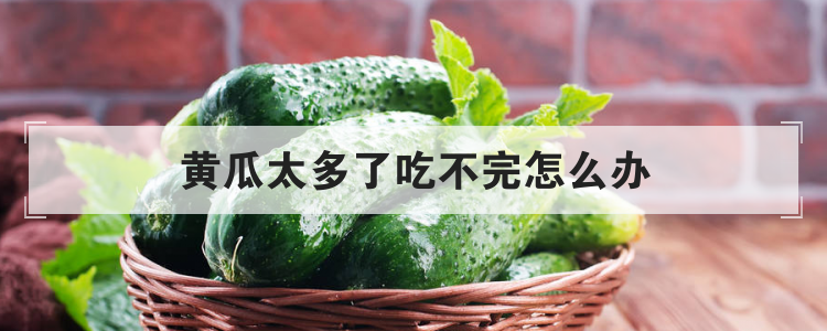 黄瓜太多了吃不完怎么办