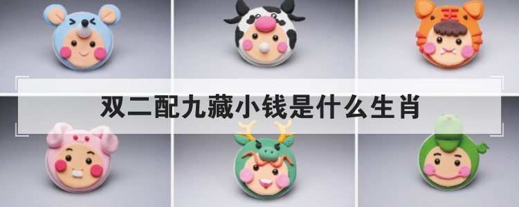 双二配九藏小钱是什么生肖