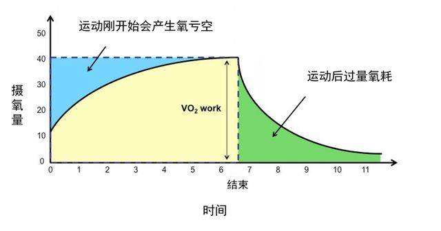 oxygen consumption的首字母简写,它的中文名叫"运动后过量氧耗,是