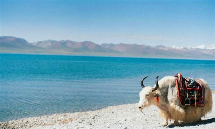 西海在哪里