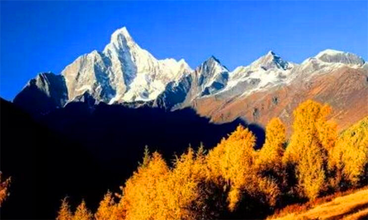 四姑娘山在哪里