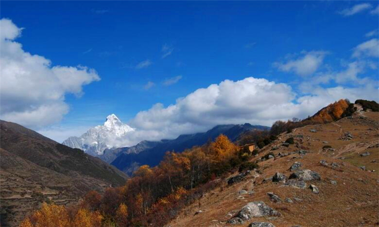 四姑娘山在哪里