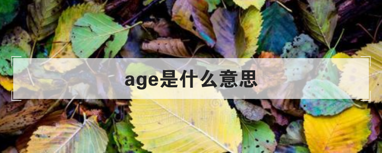 age是什么意思