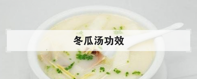 冬瓜汤功效