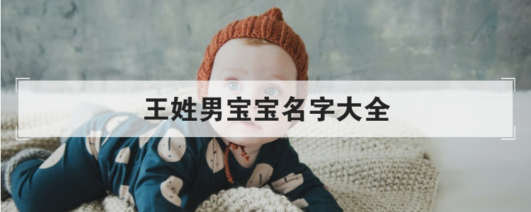 好听有诗意的王姓男宝宝名字大全