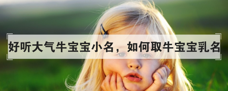 好听大气牛宝宝小名，如何取牛宝宝乳名