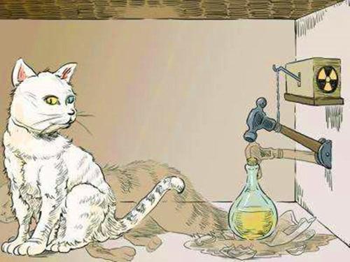 薛定谔的猫比喻什么图片